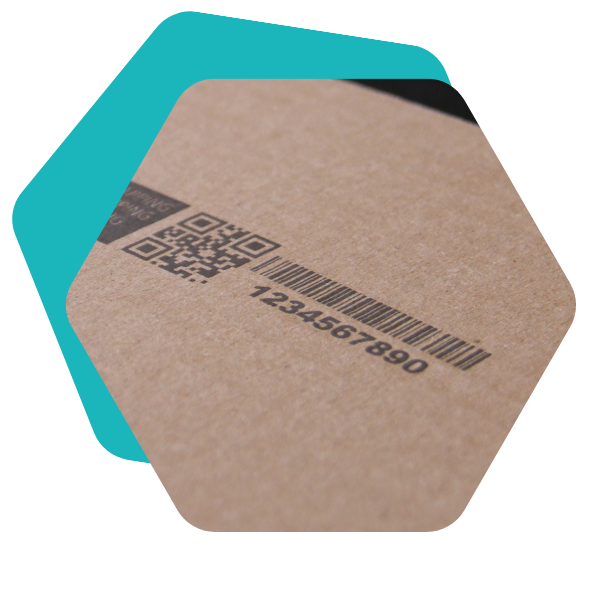 Untitled design (10)-1